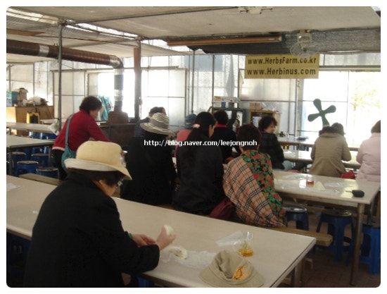 세린여행사 이미지