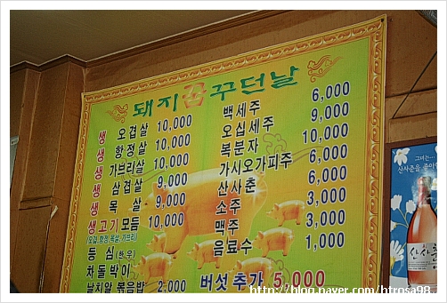 돼지꿈꾸던날 이미지