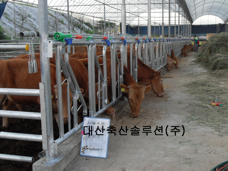 대산솔루션 이미지