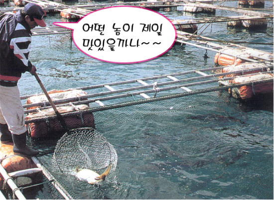 어장관리 이미지