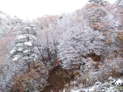 또바기마을 이미지