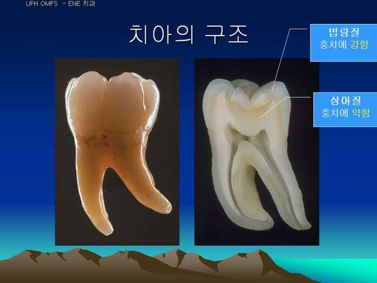 성북이엔이치과 이미지