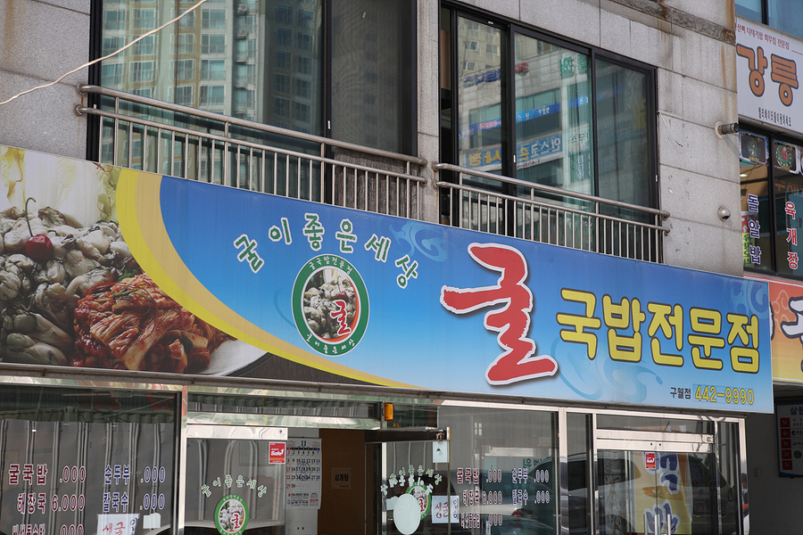 굴이좋은세상 이미지