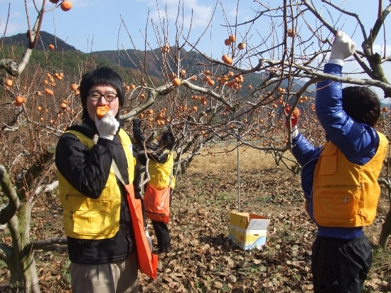 진영농장 이미지