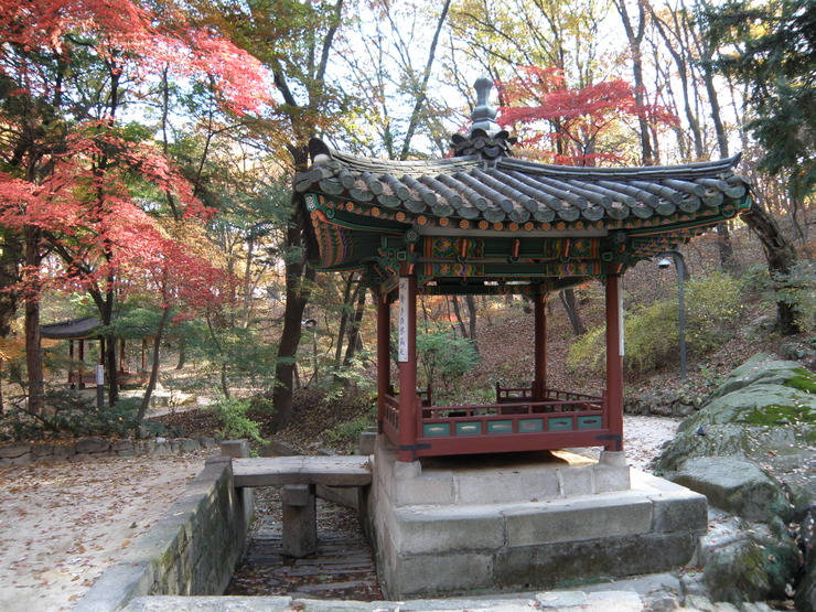 신신목재 이미지