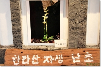 카페시선 이미지