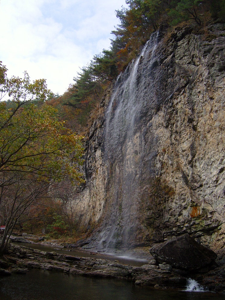 삼구회 이미지