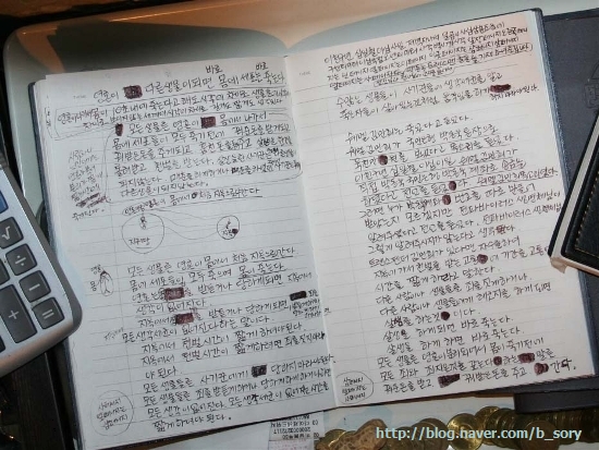 이십사-십일 이미지