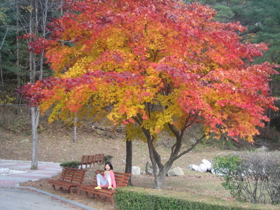 용골횟집 이미지