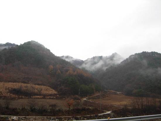 금당산 산하 이미지