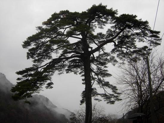 금당산 산하 이미지