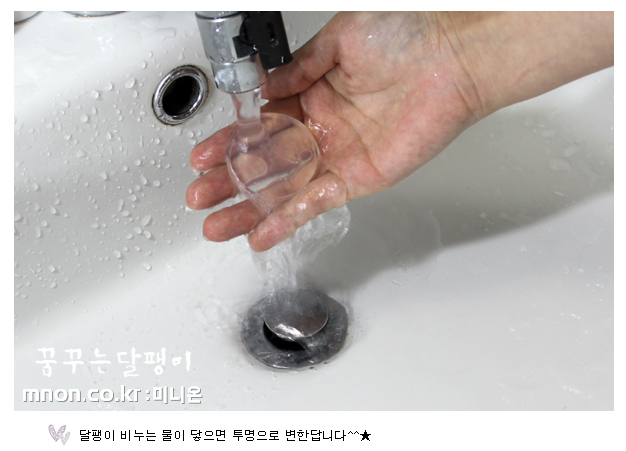 노란달팽이 이미지