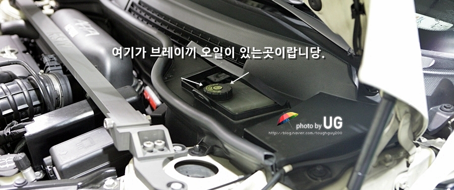진성미니 이미지