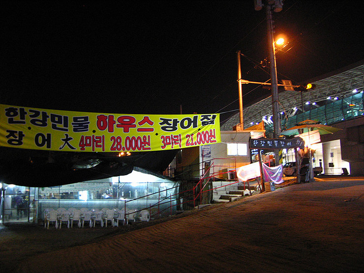 민물장어나라 이미지