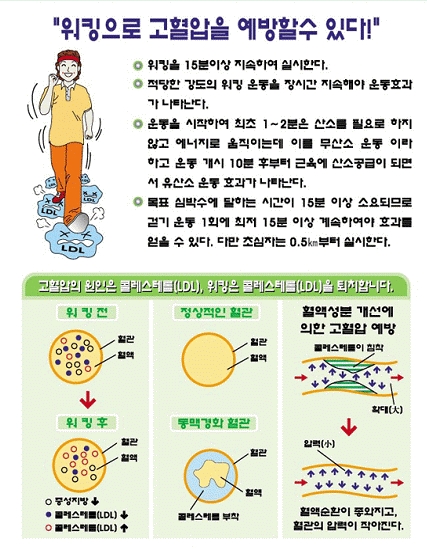 엠에스존 이미지
