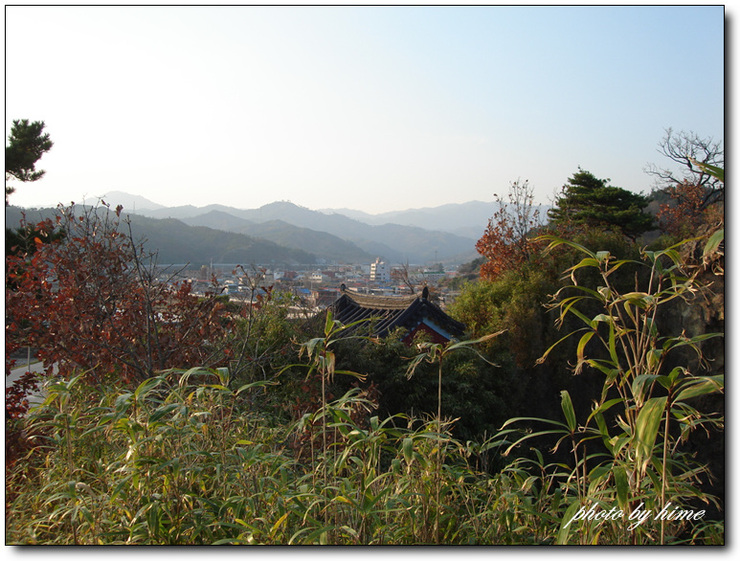 호산삼 이미지