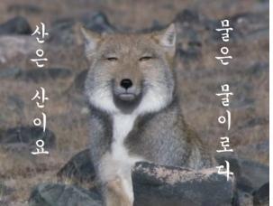구구 이미지