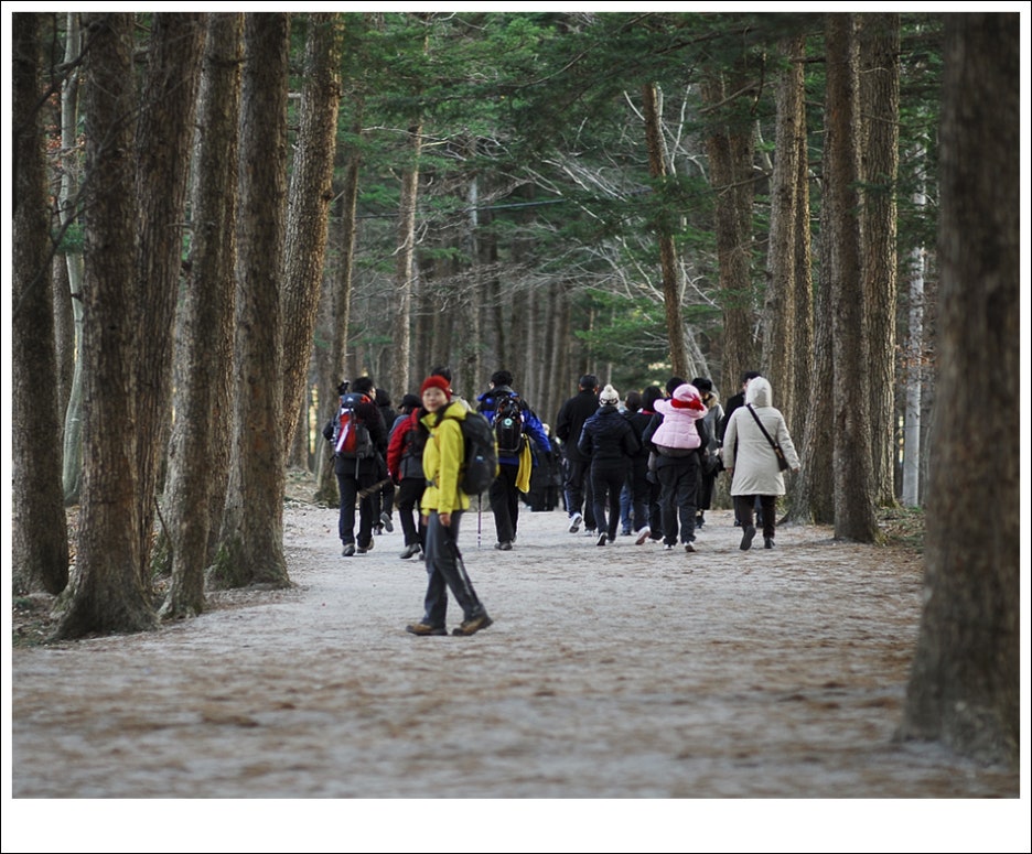 산과바다 이미지