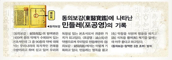 양구민들레영농조합법인 이미지