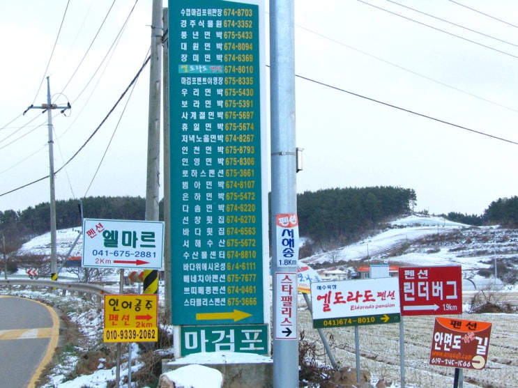 엘마르민박 이미지