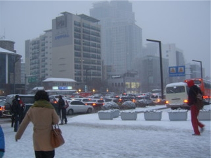 코케 이미지