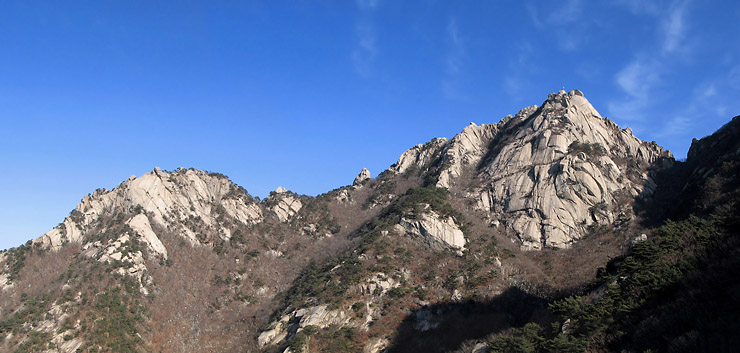 영신다방 이미지