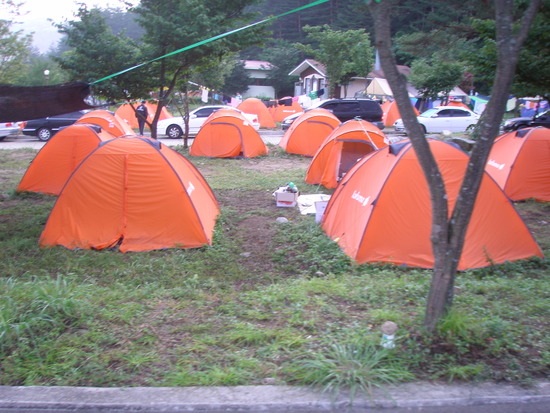 소백산김치 이미지