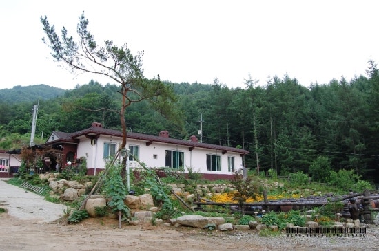 홍천큰집농원 이미지