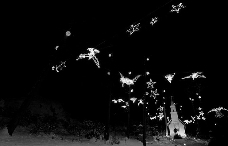 달빛,정원(Moonlight Garden) 이미지