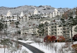 GO스키 이미지