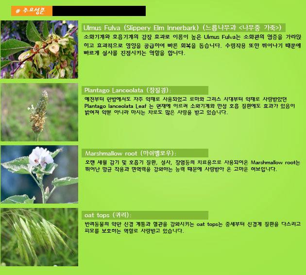 팅크 이미지