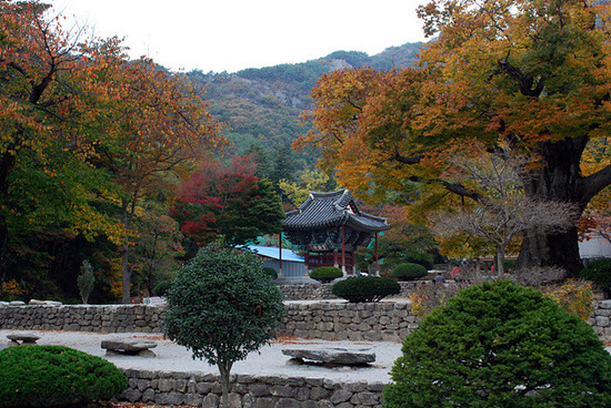 소 사 이미지