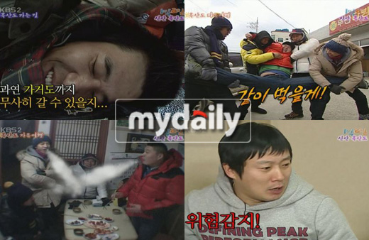 흑산도홍어2 이미지