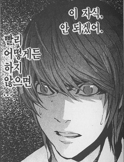 슈발 이미지