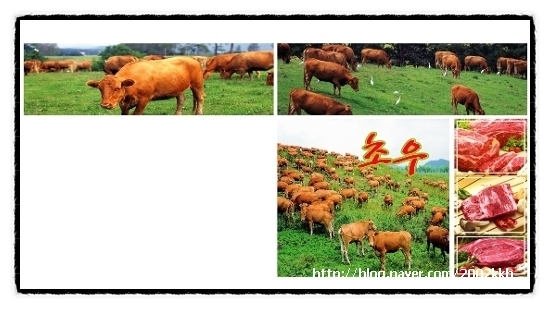 초우축산 이미지