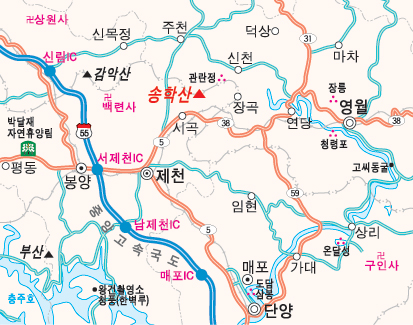 송학주유소 이미지