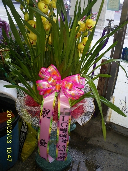 우성화원 이미지