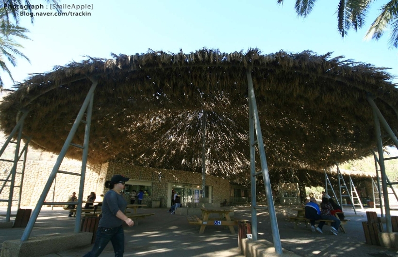 엔게디(Ein Gedi) 이미지
