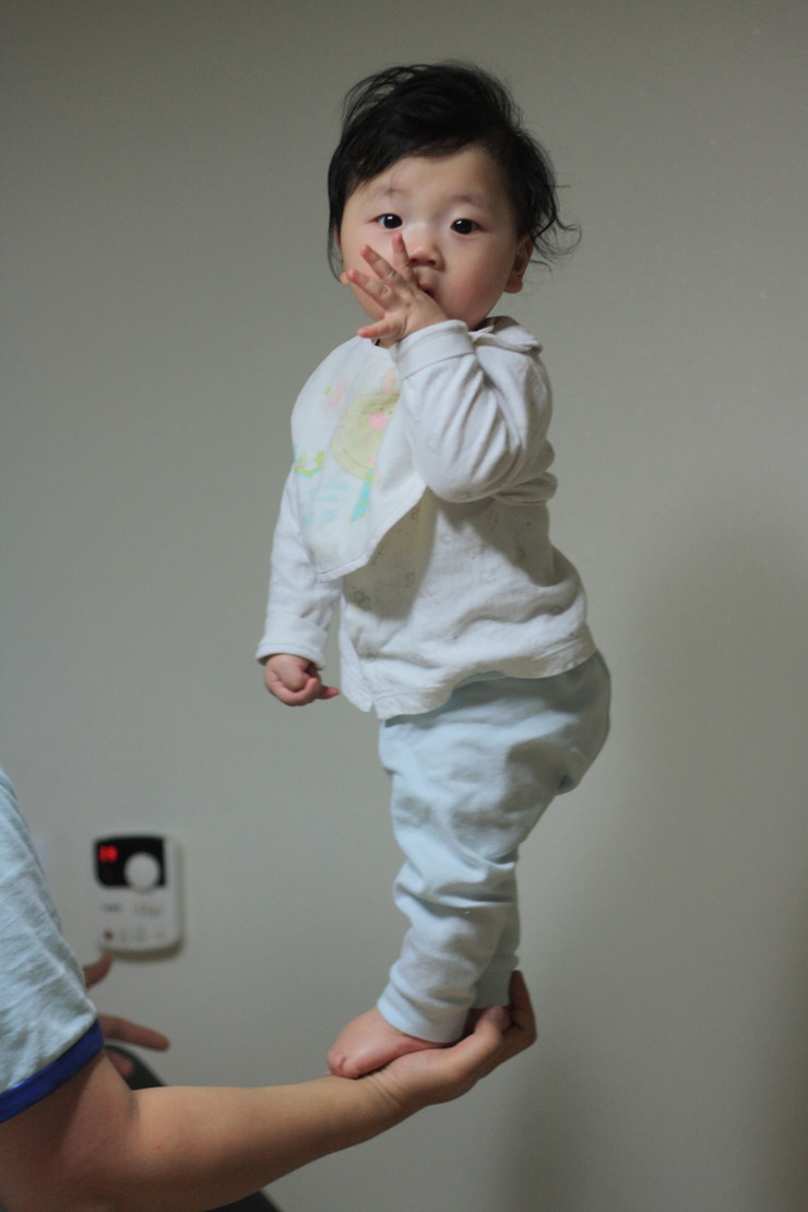 꼬노꼬노 이미지