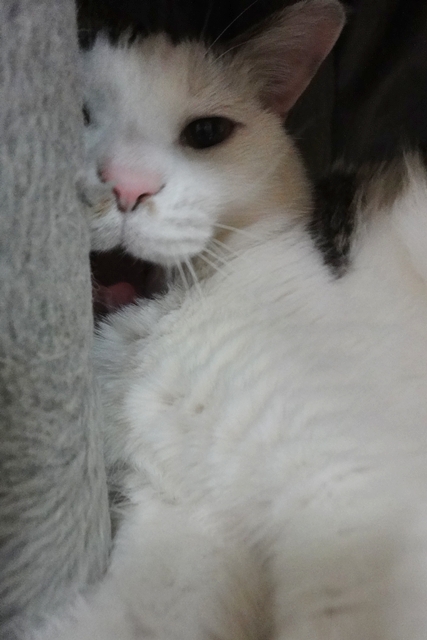 꾸름 이미지