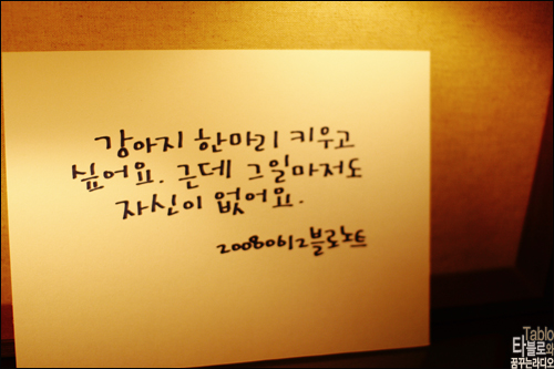 블로 이미지