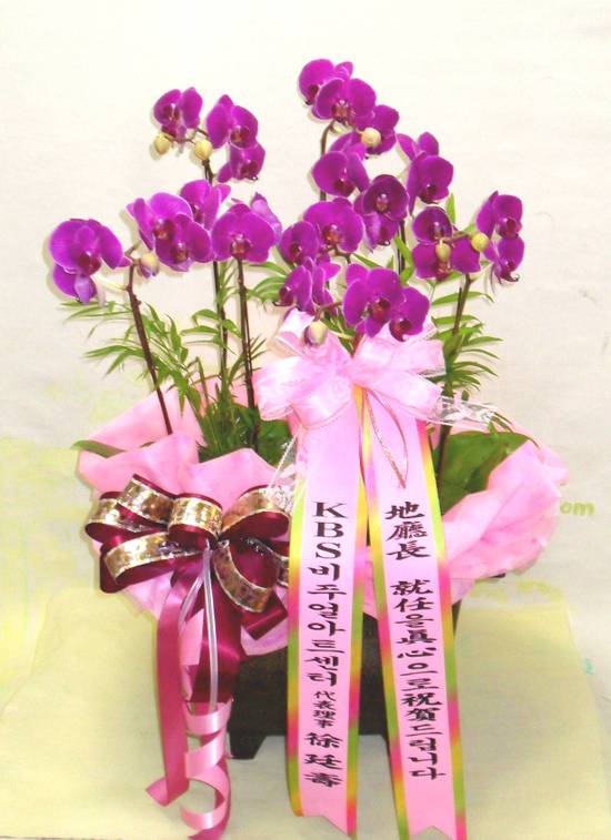 1004꽃집 이미지