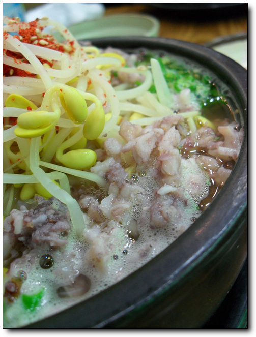 콩나루 이미지