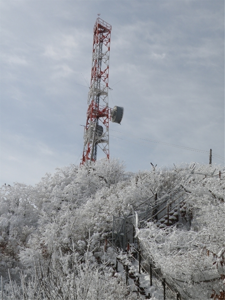 용문산 정상 이미지