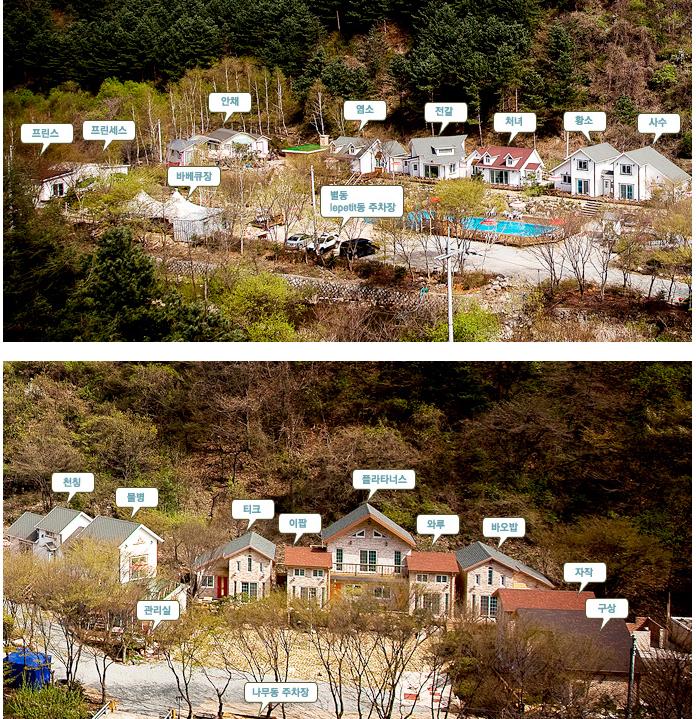 어린왕자의나무별 이미지