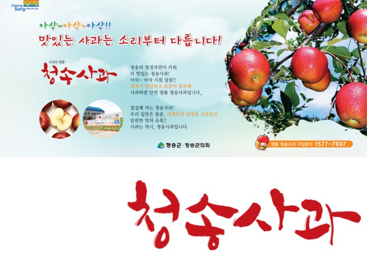 솔애드디자인 이미지