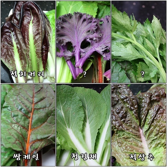 농군마을 이미지