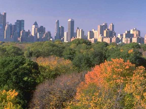 시티뉴욕(City New York) 이미지