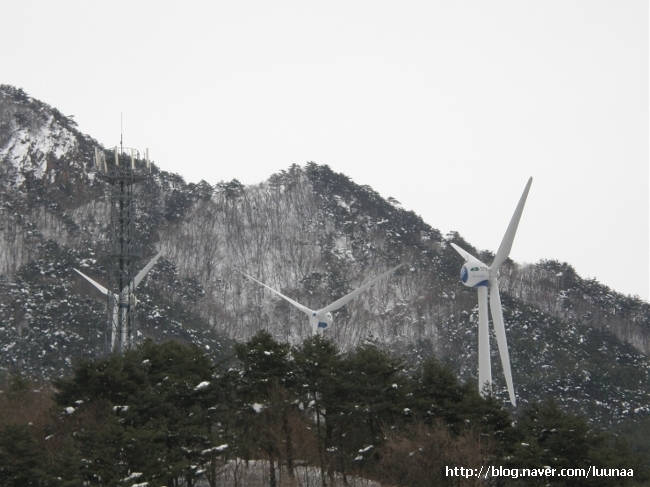 양구수산횟집 이미지