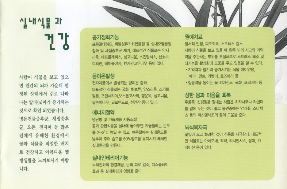 다인플라워 이미지